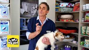 Subscribe now for unlimited access to verified professionals in any field How To Tell If Your Dog Has Worms Youtube