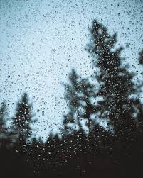 Maybe you would like to learn more about one of these? 10 000 Best Rain Photos 100 Free Download Pexels Stock Photos