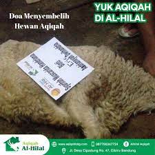 Waktu adalah sesuatu yang sangat berharga, dan sama halnya dengan kapan waktu penyembelihan hewan kurban dilaksanakan. Doa Menyembelih Hewan Aqiqah Jasa Aqiqah Bandung Enak Berkualitas
