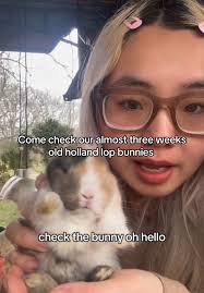 Palmer Hollow Bunny Baby Binks