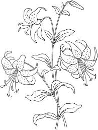 Pin By Sofya Fahma On Dibujos En Tela In 2020 Flower Coloring Pages Lilies Drawing Flower Drawing