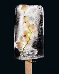 So Machen Sie Aus Krautern Und Blumen Eis Am Stiel Eis Am Stiel Blumeneis Weisse Johannisbeeren