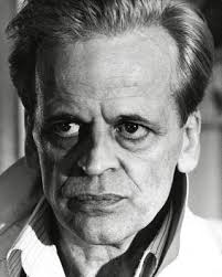 Les Fruits de la passion de Shuji Terayama (1981)