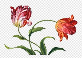 Gambar lukisan bunga mawar, lukisan bunga sakura, lukisan bunga tulip di kanvas, lukisan bunga anggrek, sketsa gambar bunga, lukisan gambar bunga raya lukisan motivational hd wallpapers sumber : Bunga Desain Bunga Tulip Lukisan Kanvas Cetak Audit Merangkai Bunga Decoupage Batang Tanaman Png Pngwing