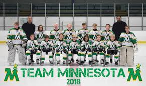 Team must have 10 recorded game scores before they appear in rankings. 2018 Brick Team Minnesota Announced