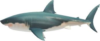 This particular incarnation of the shark was depicted in the film jaws released by universal in 1975. Great White Shark Animal Crossing Wiki Nookipedia