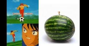 Olive Tom Enfin La Verite Sur Leurs Terrains Interminables Cool Stuff Lol Rofl