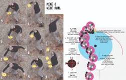 Image result for how to get snap disc golf