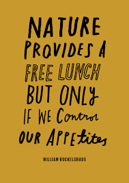 Responsible Consumption Goal Quotes No Response Development Quotes