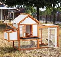 Amazon.com: PioneerWorks Gallinero de madera para gallinero ...