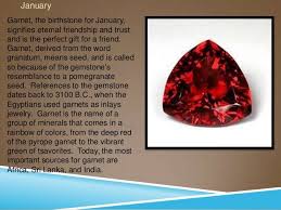 January Birthstone And Birth Flower Meaning And Significance January Birth Stone Birth Flowers January Birth Flowers