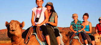 Because alice is a horse, of course! Alice Springs Camel Tour Vouchers Gift It Now