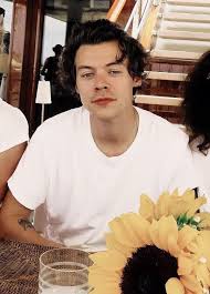Y/n is spending it with her family at the malibu breeze hotel, where she meets, aspiring musician, harry. Harry Styles White And Sunflower Image 6101126 On Favim Com