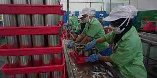 Menaker kunjungi pekerja penerima bsu : Pasca Temuan Cacing Pabrik Stop Produksi Ikan Makarel Kaleng