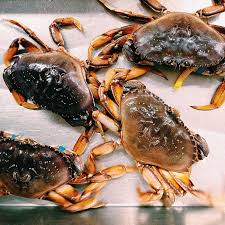 Find your largest stock pot and fill it with water. How To Cook Crab Cleaning Boiling Steaming Serving Craftsy