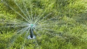 Keep your plants and lawn healthy by using a sprinkler instead of just spraying them with a hose. How To Install An Underground Sprinkler System Lowe S