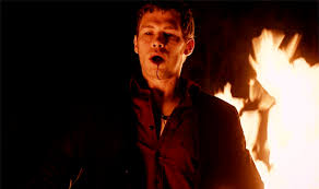 #klefan #klaus #stefan #the vampire diaries #tvd: 900 Klaus Mikaelson Joseph Morgan Ideas In 2021 Joseph Morgan Klaus Mikaelson Klaus