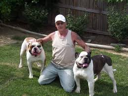 Both parents are registered with the nkc. Equalizers American Bulldogs