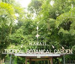 Furniture retailer, fences & gates; Information Inspiration Action Dan Lutkenhouse Plans To Change The World One Visitor At A Time Articles Thisweek Hawaii