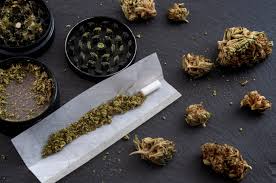 A Beginner's Guide to Rolling the Perfect Joint With THCA Flower - 3CHI