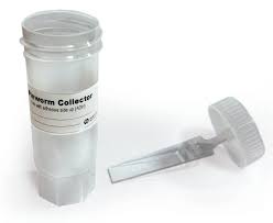 Image result for Pinworm Test