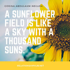 Sometimes, few inspiring words are enough to uplift your spirits. 43 Beautiful Sunflower Quotes That Are Inspiring Relationship Hub