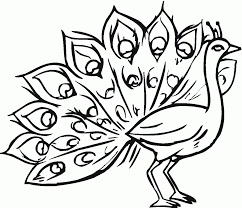 By peacock musk | jun 7, 2021. Free Printable Peacock Coloring Pages For Kids Peacock Coloring Pages Animal Coloring Pages Bird Coloring Pages