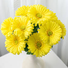 Image result for Gerbera