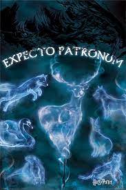 Harry flung himself out from behind the bush and pulled out his wand. Harry Potter Patronus Poster Plakat Kaufen Bei Europosters