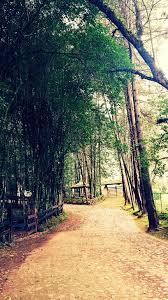 Mazamitla Jalisco Mexico Jalisco Viajes Mexico Lindo