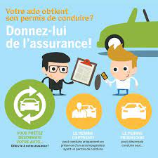 Jeune Conducteur Assurance Auto Et Permis La Capitale Insurance Teenager Drivers License