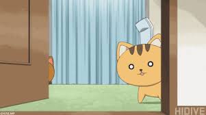 Funny Anime Cat Gif Discover all images by violetta kotik. funny anime cat gif