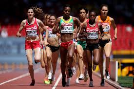 Maybe you would like to learn more about one of these? Genzebe Dibaba Faith Chepngetich Kipyegon Amela Terzic Faith Chepngetich Kipyegon And Amela Terzic Photos Zimbio