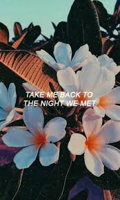 Pin By Dijana On The Shit That Needs To Be My Walpaper Flowers Quotes Tumblr Tumblr Backgrounds Quotes Song Quotes Tumblr