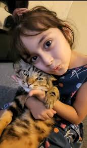 anyone missing a very small kitten