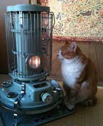 this would be 1 of our cats if we had a heater i don t think she would ever move away from it 可愛すぎる動物 猫の愛 猫