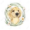 I would love to create a keepsake of your special pet! 1