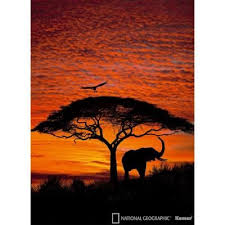 National Geographic African Sunset Wall Mural 4 501 African Sunset Sunset Wallpaper Photo Mural