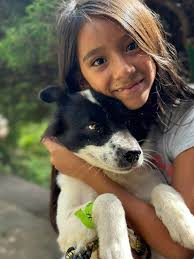 About our non-profit work