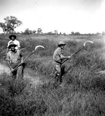 Fugitive Slave | Us Abolition, Resistance & Repercussions | Britannica