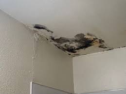 Thread by @_claudio_please