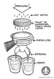 Espresso 101 What Is It Espresso Coffee Cafe Coffee Guide