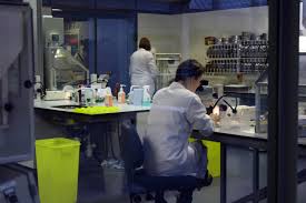 Hidden in rural sussex is the world's best insurance policy. The Millenium Seed Bank Wakhurst Place Lifesymphony