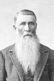 Henry S Doty (1830-1924)