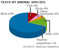 Animal Testing Human And Animal