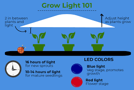 Top 15 best led grow lights 2021. Using A Grow Light To Start Seeds Indoors Dengarden