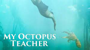 9:11 am pst 3/1/2021 by sheri linden. My Octopus Teacher Story Of An Astonishing Friendship With Nature