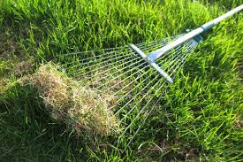 Thatching isnt the term, but dethatching is the process of removing old dead grass from the surface of the lawn, using a dethatcher. Dethatching Your Lawn The Kink Team