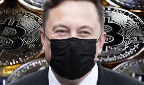 The post did elon musk create bitcoin? Elon Musk S Bitcoin Rejection Despite Spacex Intern Claiming He Created Cryptocurrency City Business Finance Express Co Uk