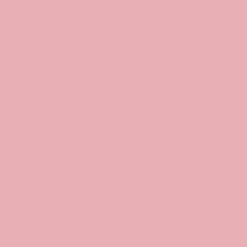 We did not find results for: Tilda Basics Solid Fabric Dusty Rose Agnes Quiltshop